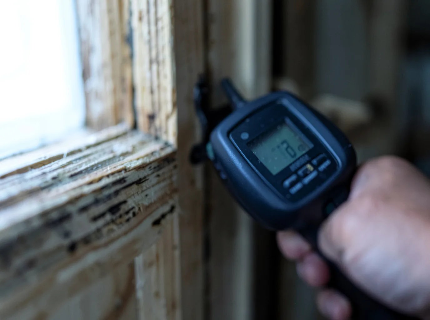 Moisture Inspection And Documentation in Dexter, NY
